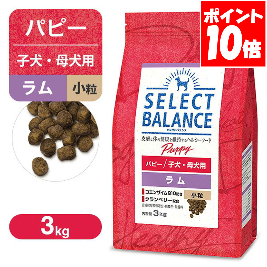 セレクトバランス パピー 子犬用 ラム 小粒 3kg 送料無料