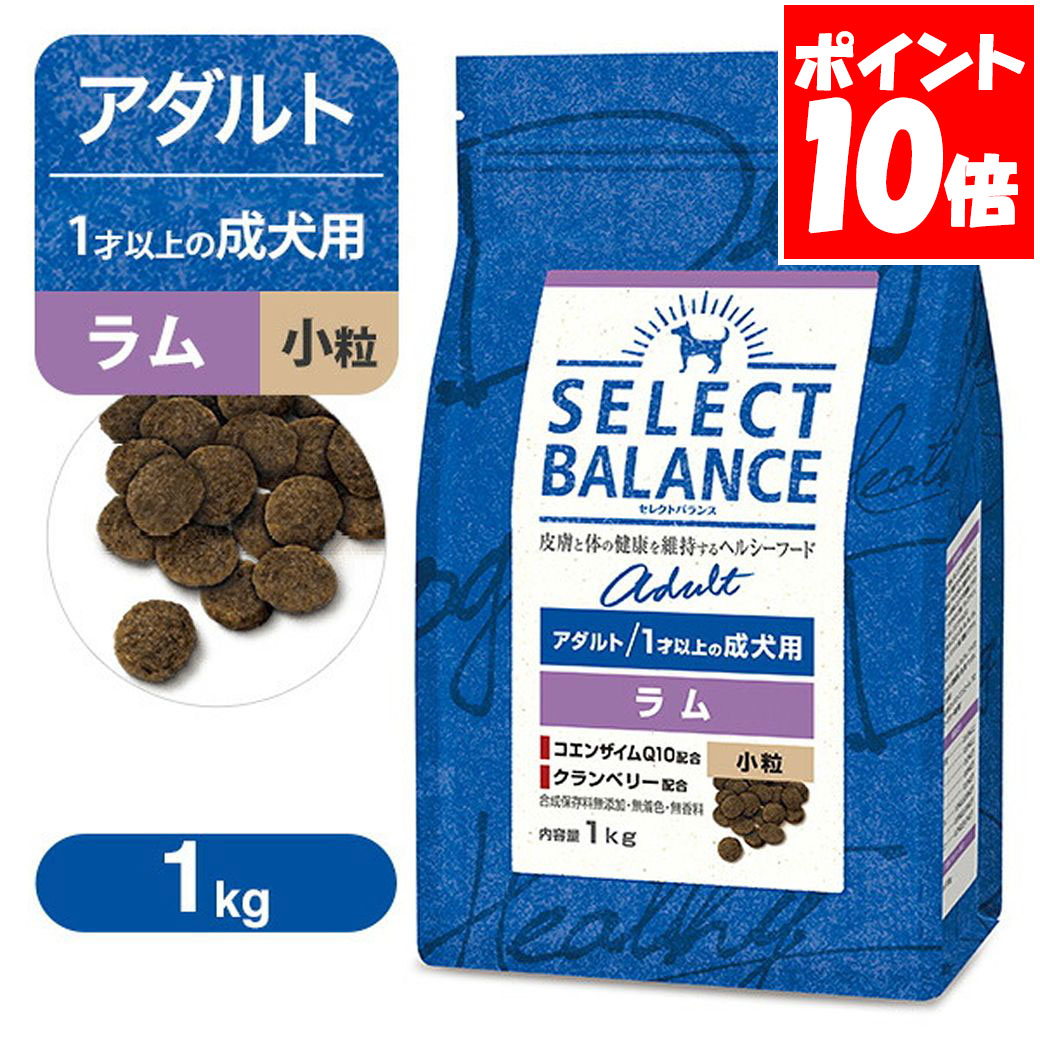 セレクトバランス アダルト 成犬用 ラム 小粒 1kg