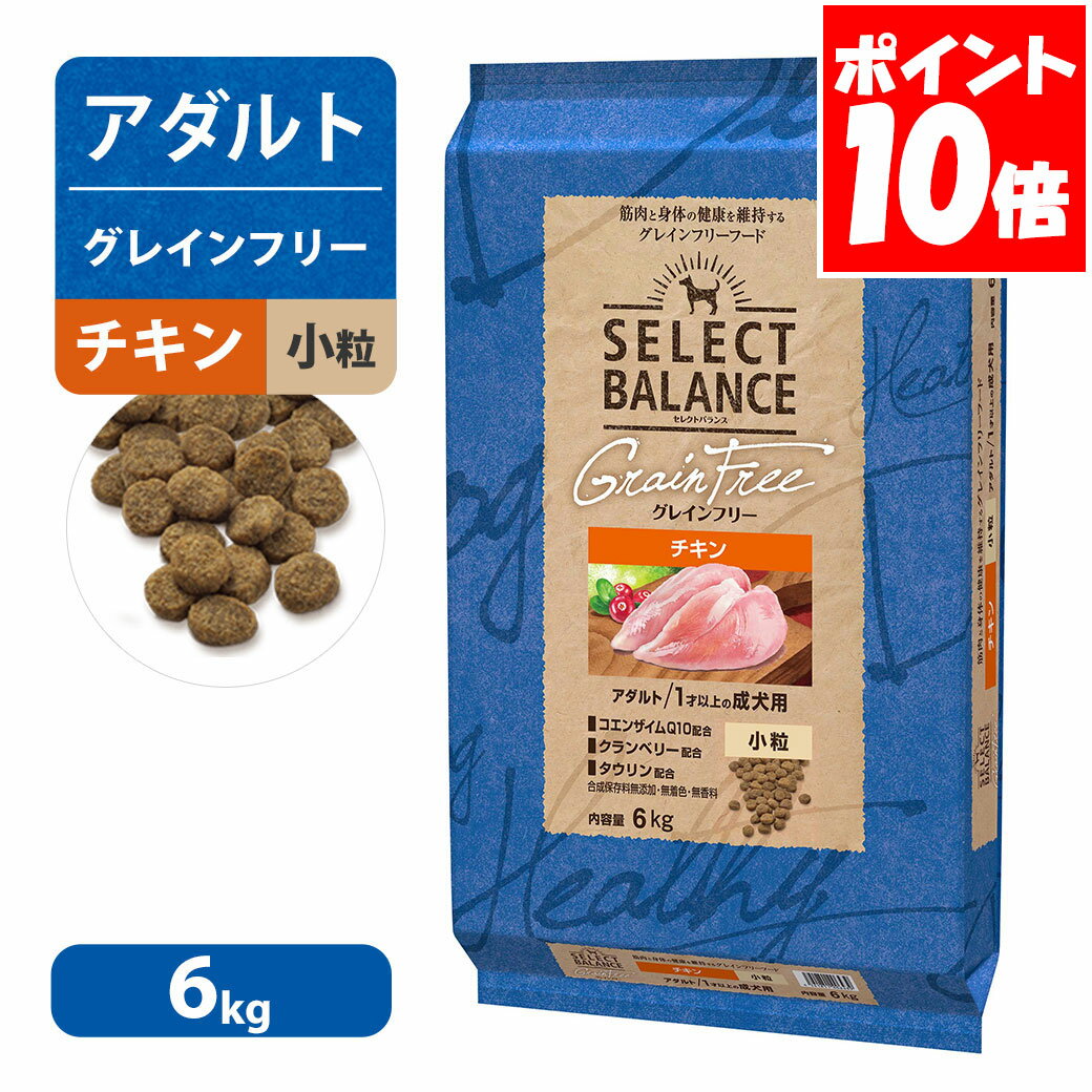 ���쥯�ȥХ�� ���쥤��ե꡼ ������� ������ ��γ 1�Ͱʾ�� ������ 6kg ����̵��