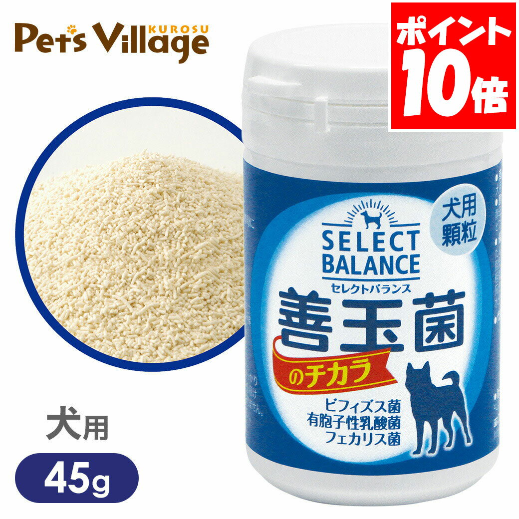 ���쥯�ȥХ�� ���̶ݤΥ����� ���� ��γ 45g