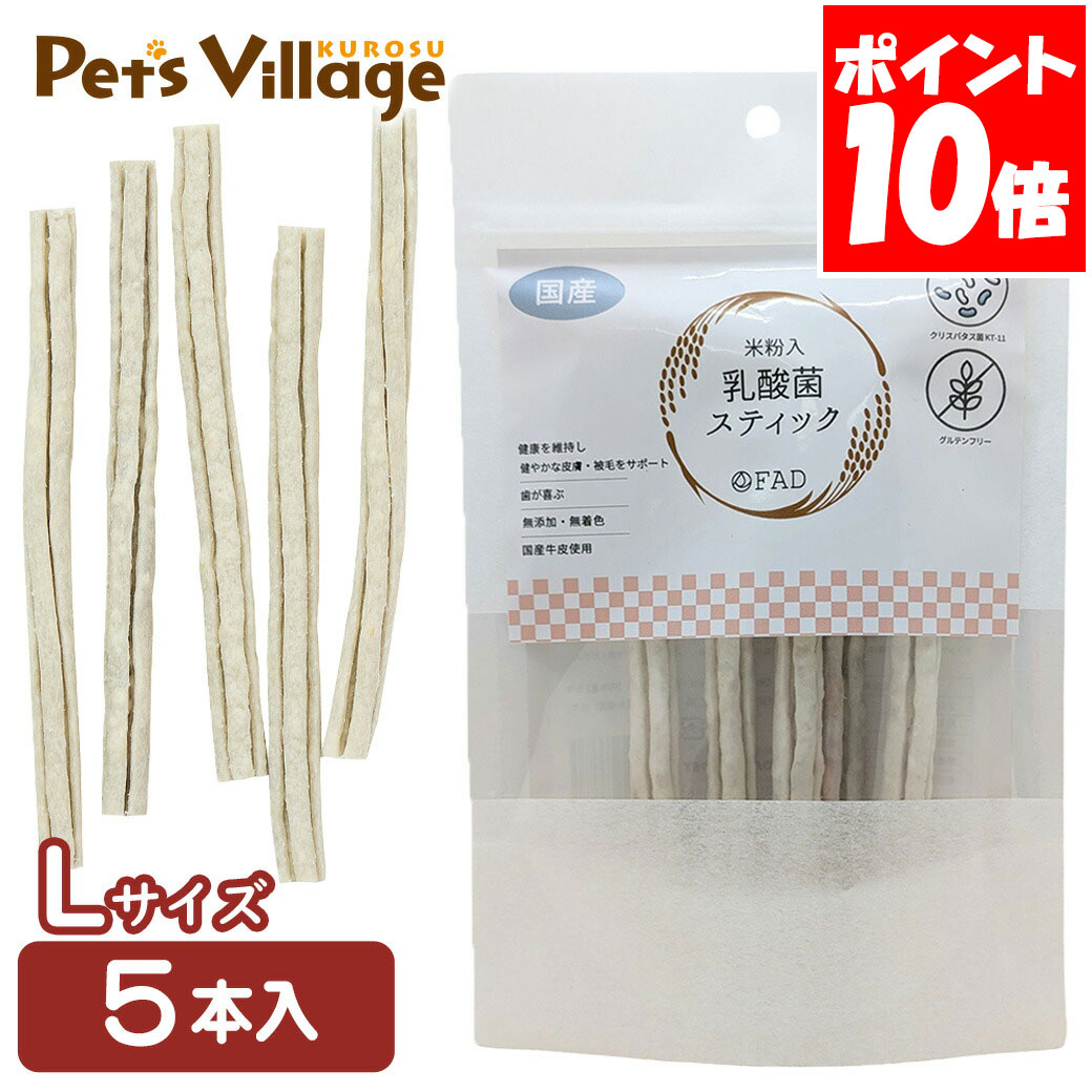 乐天商城 - ダッドウェイ 乳酸菌スティック L 5本入