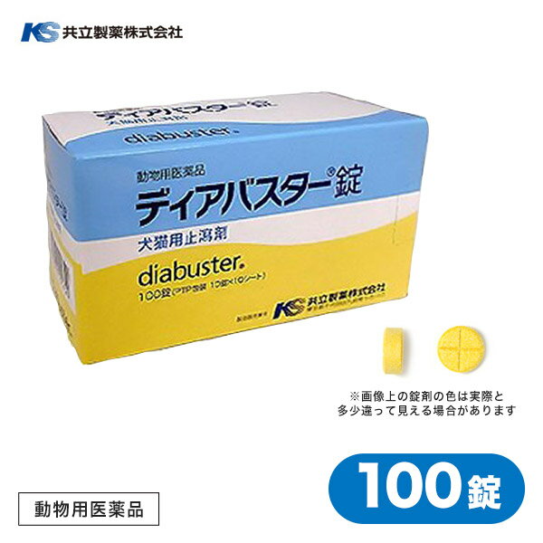 共立製薬 ディアバスター錠 100錠