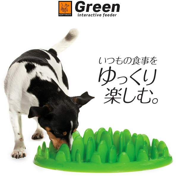 NORTHMATE グリーンフィーダー（GREEN interactive feeder） ■ 早食い防止 犬の食器 猫の食器 犬用食器 猫用食器 フードボウル 犬用品 猫 ねこ ネコ あす楽対応