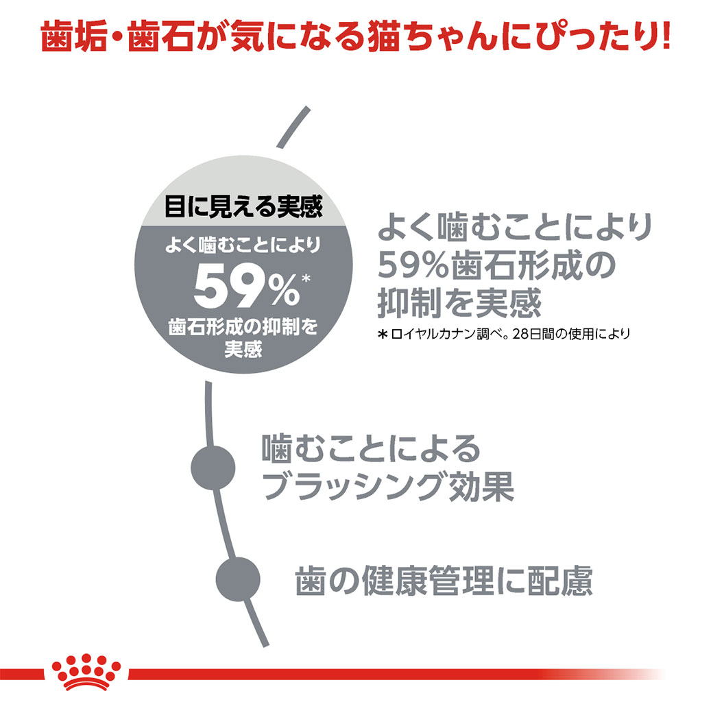 サンプル画像3