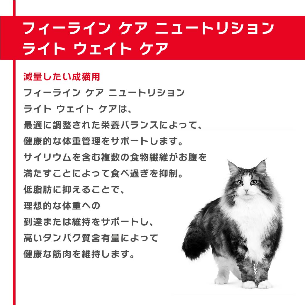 ロイヤルカナン キャットフード FCN ライト...の紹介画像3