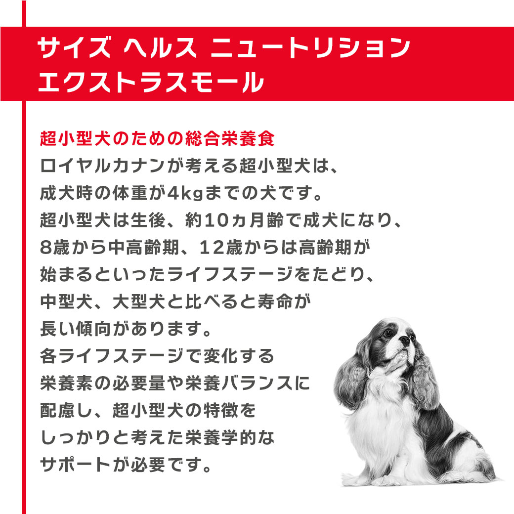 ロイヤルカナン ドッグフード CCN エクストラスモール アダルト 成犬用 4kgまでの超小型犬 1.5kg RSL 3