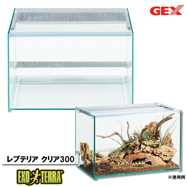 【12/24まで 最大350円OFFクーポン配布中】 GEX エキゾテラ レプテリア クリア300【ジェックス/GEX/エキゾテラ/EXO TERRA】【ケージ/水槽/キャビネット】【爬虫類・両生類飼育用品/ガラステラリウム水槽】