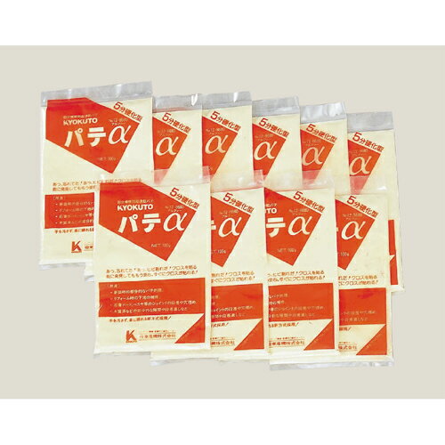 KLASS 部分補修用超速乾パテ パテα（5分硬化型） 12-8680※