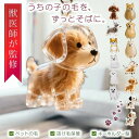 「レビュー特典付き」【獣医監修】犬 毛 収納 キーホルダー ペット 遺毛 ケース 犬の毛収納ボトル 遺毛入れ 透明カプセル 遺毛ボトル 小動物 保存 思い出 持ち歩き メモリアルグッズ 犬の毛 保存容器 人気 ギフト ペットひげ 抜け毛