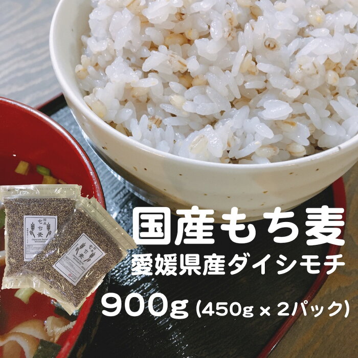 [送料無料] ♪ランキング1位獲得♪ 三ツ星お米マイスター厳選 国産もち麦 900g 450x2 パック 国産 もち麦 愛媛県産 ダイシモチ もち麦 ダイエット βグルカン 食物繊維 無添加 美容健康 腸内環境 内臓脂肪 ポリフェノール もち麦送料無料