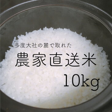 【送料無料】新米 令和4年産 三重県産 農家直送米 玄米 10kg 精米無料 分搗き 玄米／3分精米／5分精米／7分精米／白米／無洗米 多度大社 多度