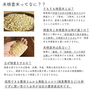 【送料無料】新米 令和4年産 三重県産 農家直送米 玄米 10kg 精米無料 分搗き 玄米／3分精米／5分精米／7分精米／白米／無洗米 多度大社 多度