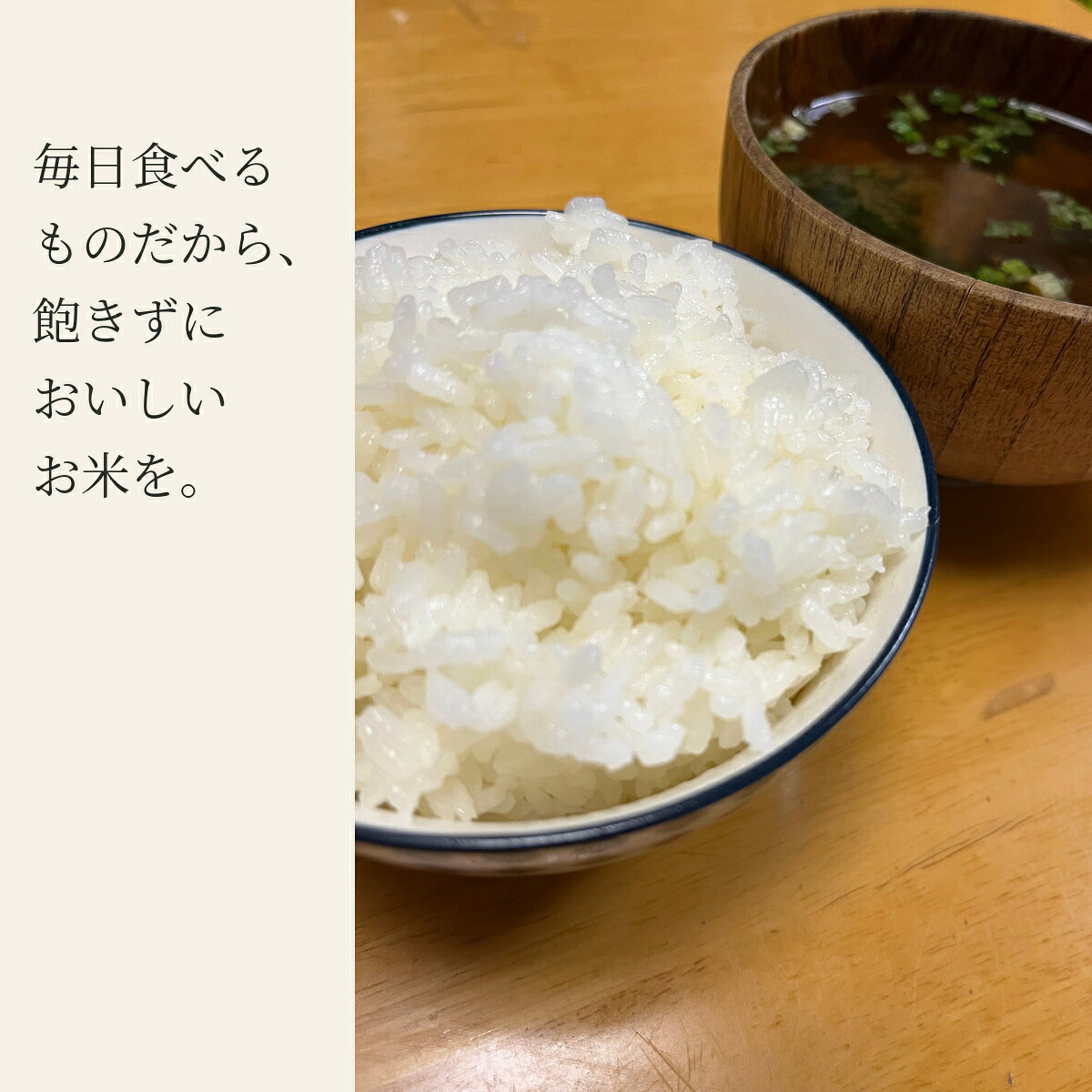 【10/27 9:59まで!エントリーで最大100%ポイントバック!】【新米】 令和8年産 三重県産 農家直送米コシヒカリ 10kg 5kg 3kg 10キロ 5キロ 3キロ 白米 玄米 無洗米 3分精米 5分精米 7分精米 選べる精米度合い 分づき米 受注後精米 精米したて (3)