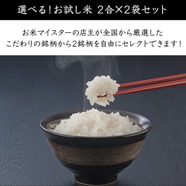 米 送料無料 お試し お試し米 お試しセット コシヒカリ 上納米 結びの神 サンプル　【送料無料】選べる！お試し米 4合(2合300g x 2) お試し 白米 300グラム 600グラム お試しセット コシヒカリ こしひかり 選べる 組み合わせ 自由 龍の瞳 上納米 結びの神 農林48号 ゆめぴりか 天使の詩 ササニシキ サンプル 手土産 ご挨拶 ギフト 春 メール便対応