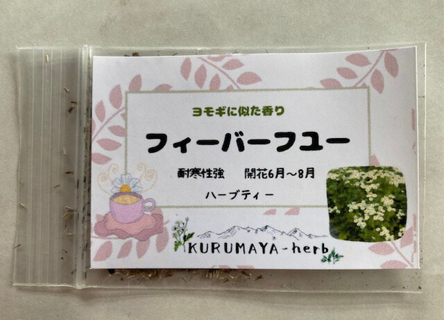 KURUMAYA-herb　フィーバーフュー種　