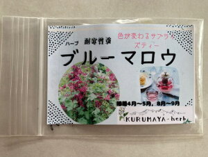 KURUMAYA-herb　ブルーマロウ種　　栽培期間農薬不使用無化肥　長野県信濃町斑尾山　耐寒性強　アオイ科ゼニアオイ属　サプライズティー　自家採種