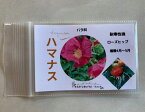 KURUMAYA-herb　ハマナス種　長野県信濃町斑尾山　栽培期間農薬不使用無化肥　バラ科バラ族　ガーデニング　ローズヒップ　耐寒強