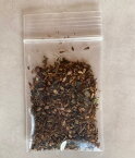 KURUMAYA-herb　蓼藍（タデアイ）の種　200粒　自家採取　長野県信濃町斑尾山　栽培期間農薬不使用無化肥　藍染め　お茶