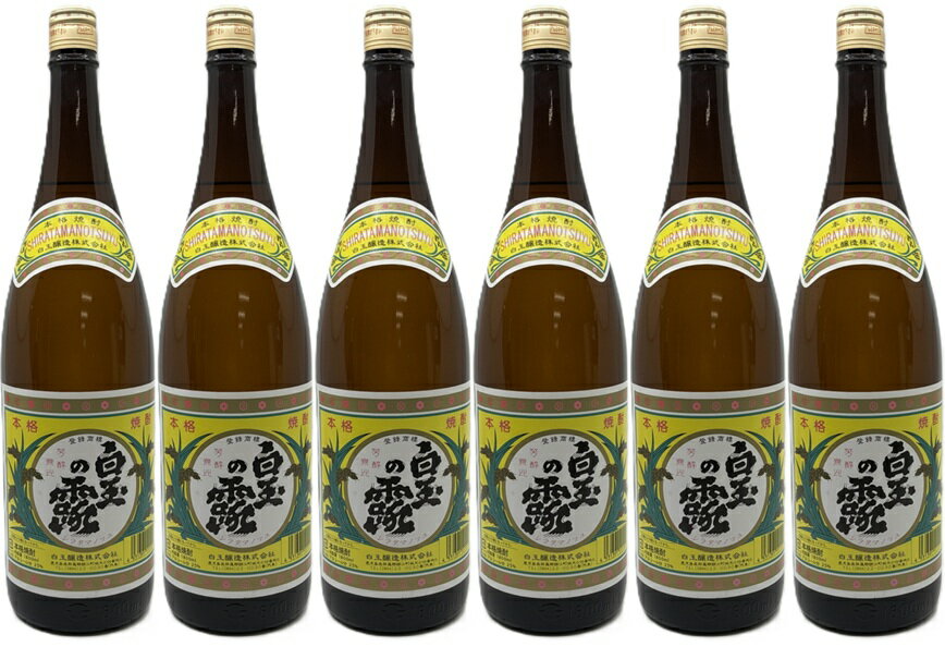 【送料無料】【6本セ