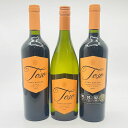 【送料無料】【3種セット】トソ マルベック ・シャルドネ・カベルネの3種を飲み比べ 750ml Toso アルゼンチン メンドーサ パスカル・トソ