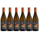 【送料無料】【6本セット】【 シャルドネ】サイクルズ・グラディエーター シャルドネ カリフォルニア Cycles Gladiator Chardonnay California 白ワイン 750ml 6本 サイクルズ・グラディエーター Cycles Gladiator アメリカ