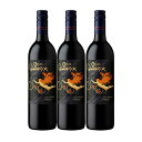 【送料無料】【3本セット】【メルロ】サイクルズ・グラディエーター メルロ カリフォルニア Cycles Gladiator Merlot California 750ml 3本 赤ワイン アメリカ カリフォルニア サイクルズ・グラディエーター Cycles Gladiator