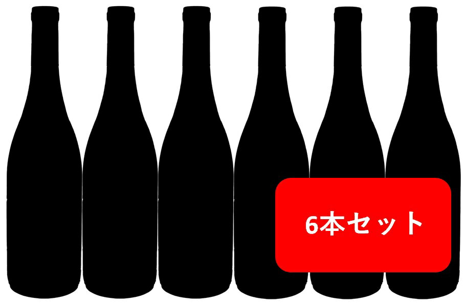 【送料無料】【大人気】【6本セット】くまのデザインの白ワイン　6本　750ml　CHARDONNAY　CALIFORNIA　アメリカ　カリフォルニア