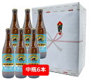 【ギフト包装込】【送料無料】【瓶ビール】中瓶6本セット キリン 晴れ風 KIRIN BEER 晴れ風 中瓶 500ml 6本 麦芽100% キリンビール KIRIN 国産 瓶ビール好き 瓶ビールが旨い 御礼 御祝