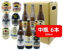 【送料無料】【瓶ビール】いろいろ中瓶6本 いろいろ飲み比べ6本種 スーパードライ マルエフ 黒ラベル 赤星 一番搾り ラガー 中瓶 6本 500ml SAPPORO KIRIN ASAHI 国産 瓶ビール 瓶ビールが旨い