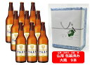 【仏用ギフト包装済】【送料無料】【瓶ビール】大瓶9本セット アサヒ 生ビール マルエフ 大瓶 9本 633ml F アサヒビール 生ビール ASAHI 国産 お盆ギフト 弔事 仏事 お供え 供物 御供 御仏前 香典返し