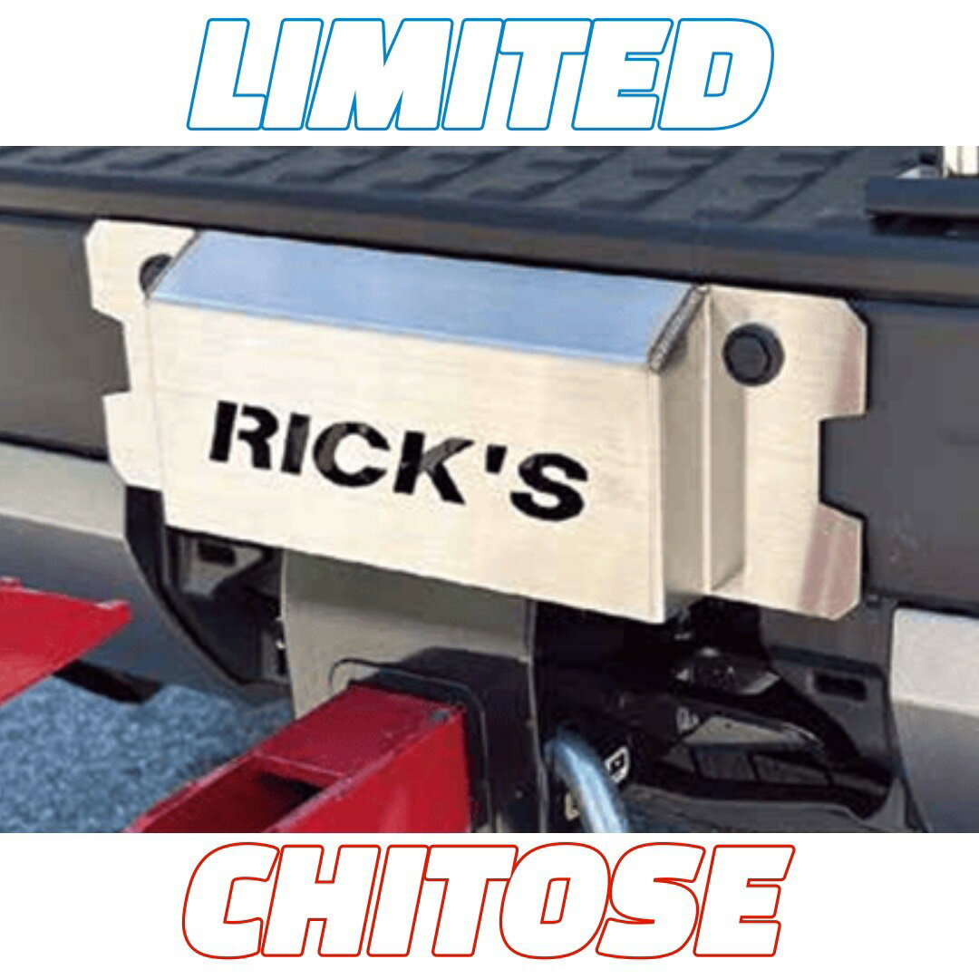 【リミテッド】RICK'S スチール製 コンシールパネル ステンレスパネル ランドクルーザー250 ランクル《送料無料》※沖縄/離島を除く