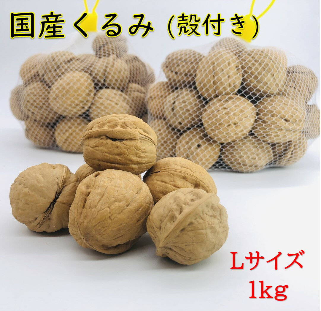 ※11月中旬販売開始　国産くるみ 殻付きタイプ(Lサイズ)【1kg】 生産者直売 日本産 長野県産 クルミ 生くるみ ナッツ 送料無料のサムネイル