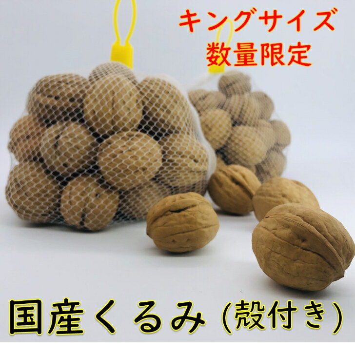 ※11月中旬販売開始　国産くるみ 殻付きタイプ(キングサイズ)【1kg】 生産者直売 日本産 長野県産 クルミ 生くるみ ナッツ 送料無料のサムネイル