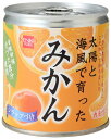 太陽と海風で育った みかん缶295g×10個セット【沖縄・別送料】【井上果樹園】