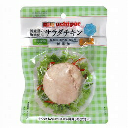 サラダチキン プレーン 100g 5個セット【沖縄・別送料】【ウチノ】【05P03Dec16】