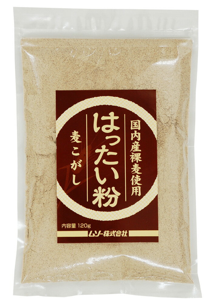 国内産裸麦使用・はったい粉　120g×10個セット【沖縄・別送料】【マクロビオティック・ムソー】【05P03Dec16】