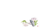 【 送料無料 】カミイソ産商 高級和紙マット 尺3 紙 テーブルマット 季節 柄 さくら の 花 桜 ( 380×260mm ) No.520 / 100枚 使い捨て 店舗用品
