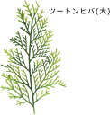 大黒工業 (株) 食品 用 造花 料理飾り お祝い 正月 おせち お花見 料理 弁当 ツートンヒバ 桧葉 大 家庭用 少量 3枚