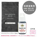 まつげエクステ グルー 速乾 ゴールドピグメンツグルー 10ml マツエク グルー まつエク 速乾性 技術者用 まつ毛エクステ 接着剤 商材 メール便のみで送料無料 アンジェララッシュ D10