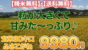 23年産新米入荷!味と香りの新米を!!【23年産新米入荷】【くるりの名水百選で作られた米】塩むすびで食べて♪千葉県産ふさこがね玄米30キロ【精米無料】【送料無料】玄米 30kg 送料無料【0304superP10】