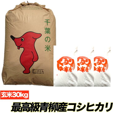 【令和4年産新米入荷】 塩むすびで食べて♪厳選した生産者青柳産コシヒカリ 玄米 30kg 送料無料【精米無料】【送料無料】玄米 白米 精米 30kg こしひかり 30年 30キロ お米 コメ コシヒカリ 米 食品【オススメ】【売れ筋】