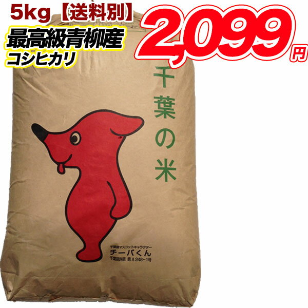 30年産　千葉県産 青柳産 コシヒカリ 5キロ 玄米　白米　精米　5kg　こしひかり 送料無料 米 食品