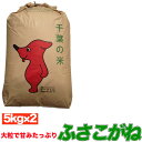 令和1年産 【くるりの名水百選で作られた米】塩むすびで食べて♪農家直送・安心安全！千葉県産 ふさこがね 10kg 玄米【送料無料】【オススメ】【売れ筋】