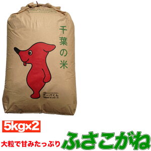 令和5年産 【くるりの名水百選で作られた米】塩むすびで食べて♪農家直送・安心安全！千葉県産 ふさこがね 10kg 玄米 送料無料 残留農薬検査済 残留農薬不検出