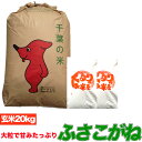 ふさこがね 令和6年産 玄米 20kg 玄米食でも安心の選別済玄米20キロ 送料無料 精米無料 残留農薬検査済 残留農薬不検出