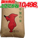 【新米入荷】令和2年産 千葉県 ふさこがね 玄米 30kg コシヒカリを超えたうまさ 玄米食でも安心の選別済玄米30キロ 【送料無料】【精米無料】 精米(白米)発送可 【オススメ】【売れ筋】