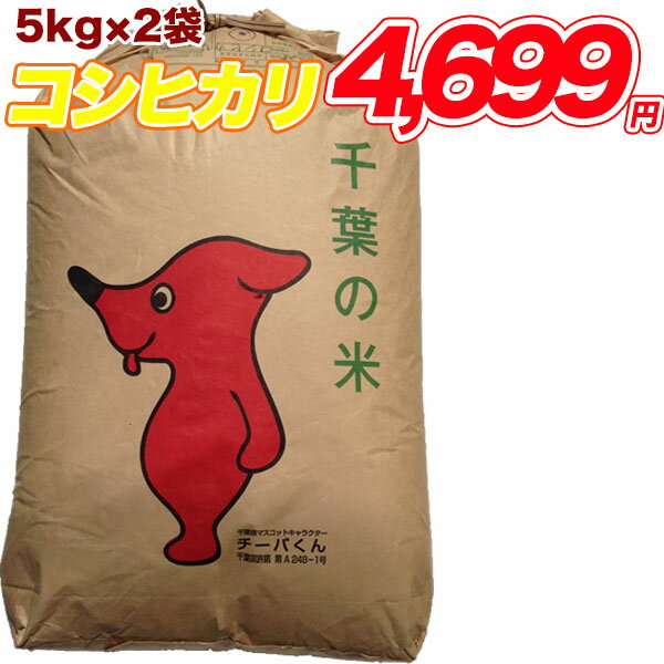 【新米入荷】令和1年産　【1袋づつ選べる！精米or玄米】千葉県産コシヒカリ 10kg(5kg×2）【送料無料】【あす楽対応】