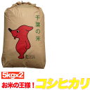 【新米入荷令和3年産】　【1袋づつ選べる！精米or玄米】千葉県産コシヒカリ 10kg(5kg×2）【送料無料】【あす楽対応】