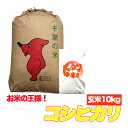 令和1年産 コシヒカリ 玄米 10kg 千葉県 【送料無料】【精米無料】 精米(白米)発送可 10キロ 【オススメ】【売れ筋】