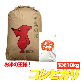 令和5年産 コシヒカリ 玄米 10kg 千葉県 【送料無料】【精米無料】 精米(白米)発送可 10キロ 残留農薬検査済 残留農薬不検出